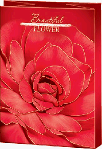 Пакет бум./ламин. (MS) жен.