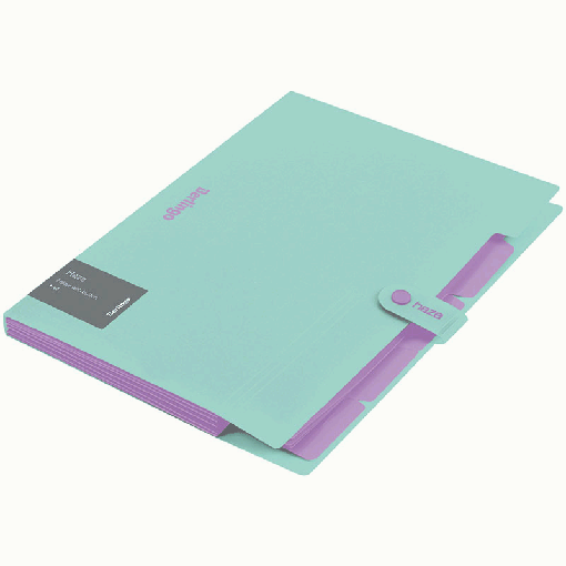 Папка 5 отделений Berlingo 'Haze', А4, 600мкм, на кнопке, мятная, софт-тач