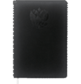 Записная книжка черная 'deVENTE. Emblem' A5 (145 ммx205 мм) 160 стр, кремовая бумага 70 г/м? в клетку, печать в 1 краску, твердая обложка из искусственной кожи с поролоном, отстроч