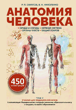 Анатомия человека. Сердце и сосуды, нервная система, органы чувств, общий покров