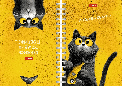 Записная книжка 80л А6ф 60-65г/кв.м с твердой обложкой запечат. форзац двойная 2-х цветная клетка на гребне глянц.ламинация -Пушистый философ-