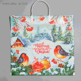 Пакет НГ 'Птичья трель', полиэтиленовый с пластиковой ручкой, 37х34см, 80 мкм 4455055