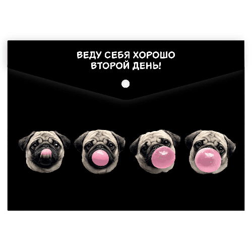 Папка для школьных тетрадей. МОПС И ЖВАЧКА. Формат А4. Размер: 33x23.5 см. Материал: полипропилен. Толщина: 180 мкм. Количество отделений - 1 отделение (-я). Тип застёжки: кнопка.