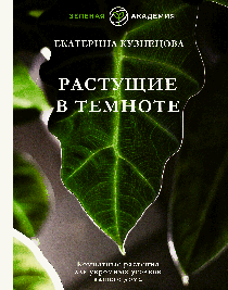 Растущие в темноте. Комнатные растения для укромных уголков вашего дома