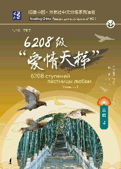 6208 ступеней лестницы любви. Уровень 3