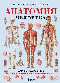 Анатомия человека. Популярный атлас. Самые подробные анатомические изображения