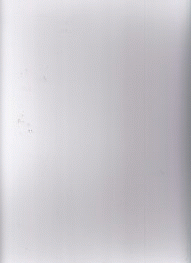 Ватман ф. А2 (594 х 420мм), 200г/м ГОЗНАК С-Пб, с водяным знаком