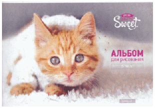 Альбом для рисования 24л., А4, на скрепке ArtSpace 'Питомцы. Pretty sweet', обл., офсет дев