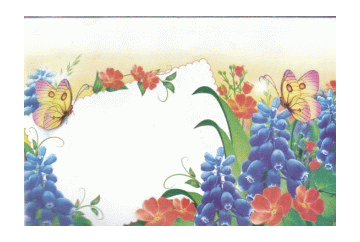 Почтовые конверты