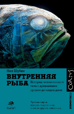 Внутренняя рыба