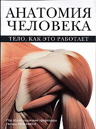 Анатомия человека