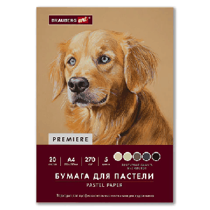 Бумага для пастели ФАКТУРНАЯ, А4, в папке, 20 листов, 5 цветов, 270 г/м2, BRAUBERG ART, 117755