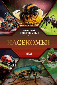 Насекомые. Иллюстрированный гид