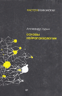 Основы нейропсихологии