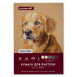 Бумага для пастели ФАКТУРНАЯ, А3, в папке, 20 листов, 5 цветов, 270 г/м2, BRAUBERG ART, 117756