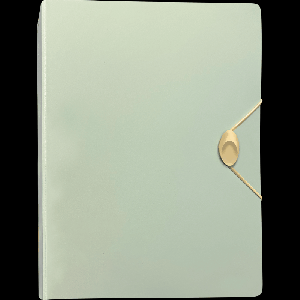 Биндер 'deVENTE' A5 (185х195 мм) 4 кольца O 25 мм, полипропилен 1000 мкм, 25 вкладышей, по 4 кармана с каждой стороны листа, 65х89 мм размер кармана, непрозрачная мятная, с застежк