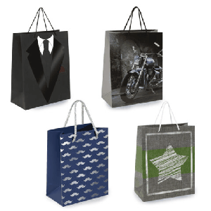 Пакет подарочный (1 штука) 26х13х32 см (L), 'Man Style', ассорти, фольга, выборочный лак, ЗОЛОТАЯ СКАЗКА, 700813