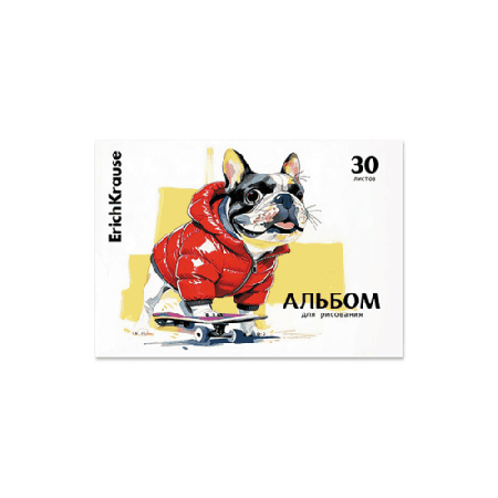 Альбом А4 30л жесткая подложка ' Erich Krause ' Крутой скейтер (Cool Skater), склейка, обложка- мелованный картон, блок- офсет 100г/м2