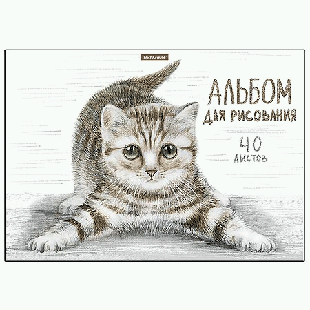 Альбом А4 40л жесткая подложка ' Erich Krause ' Tabby, склейка, обложка- мелованный картон, блок- офсет 170г/м2 дев