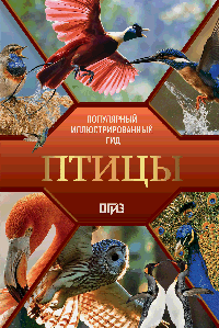 Птицы. Иллюстрированный гид