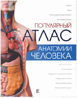 Популярный атлас анатомии человека