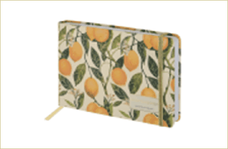 SKETCHBOOK BV НА РЕЗИНКЕ, 213Х146 мм, 96 л., БЕЛЫЙ 200 гр. 'FLORA.LEMONS'