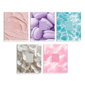 Тетрадь. ЭСТЕТИКА. Формат А5+. Количество листов - 48 л. Тип обложки - мягкий переплёт (2 скобы). Материал обложки - мелованный картон 190 г/м?. Кругление углов: есть. Печать облож