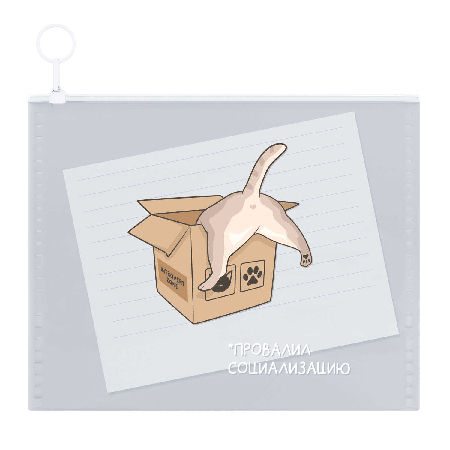 Папка канцелярская для бумаг. КОТ В КОРОБКЕ. Формат А6. Размер: 16х11,5 см. Материал: полипропилен. Толщина: 180 мкм. Количество отделений - 1 отделение (-я). Тип застёжки: гибкая