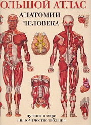 Большой атлас анатомии человека