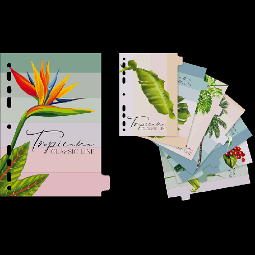 Разделитель листов 'deVENTE. Tropicana' A5 (160x210 мм) ламинированный мелованный картон 210 г/м2, с рисунком, 8 шт, индивидуальная упаковка