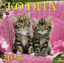 «Котята» Календарь 2025 настенный перекидной на скобе 300 х 300 мм, УФ-лак, упаковка подарочная с ручкой