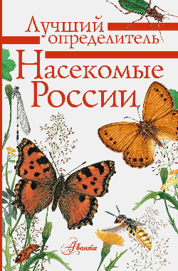 Насекомые России