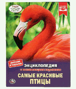 САМЫЕ КРАСИВЫЕ ПТИЦЫ (ЭНЦИКЛОПЕДИЯ А4). ТВЕРДЫЙ ПЕРЕПЛЕТ. БУМАГА МЕЛОВАННАЯ 130Г в кор.15шт