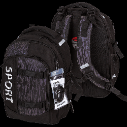 Рюкзак 'deVENTE. Ergo. Sport' школьный 39x28x20 см (18 л) 600 г, 2 отделения на молнии, одно с уплотненным отделением для ноутбука до 15 дюймов и книг и карманом для учебников, вто