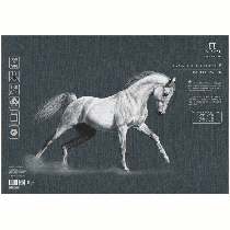 Бумага для пастели, 10л., 350*500мм, Лилия Холдинг 'Палаццо', 160г/м2, черный