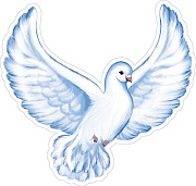 Плакат вырубной А4. Голубь с раскрытыми крыльями вправо. Двухсторонний