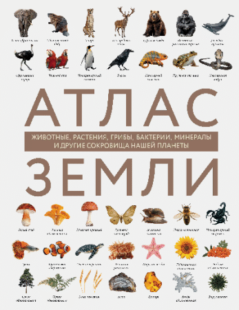 Атлас Земли. Животные, растения, грибы, бактерии, минералы и другие сокровища нашей планеты