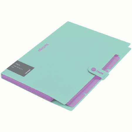 Папка 5 отделений Berlingo 'Haze', А4, 600мкм, на кнопке, мятная, софт-тач