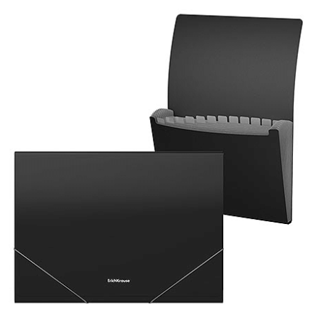 Папка-картотека ' Erich Krause ' А4 Matt Classic c 12 отделениями черная